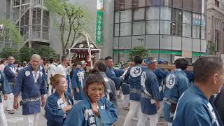 藤沢市民まつり　藤沢駅北口パレード　神輿渡御　湘南連合神輿保存會（手前）日精興睦会（奥）　2023/9/24 c10