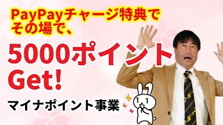 【キャッシュレス】マイナポイントで5000円ゲット！　PayPayならその場でもらえる！