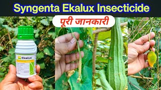 Syngenta Ki Ekalux Insecticide|| Quinalphos 25 Ec|| Fruit fly || Bph||Insect Control||