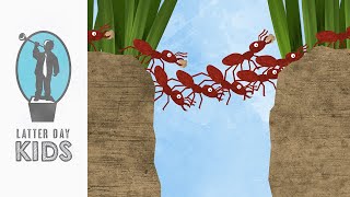 The Ants and the Grasshoppers | Building Zion