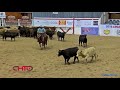 cade shepard clinches the 2016 ncha super stakes non pro final