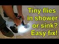 How to get rid of drain flies in shower, kitchen, or bathroom