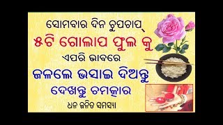 ସୋମବାର ଦିନ 5 ଟି ଗୋଲାପ ଫୁଲକୁ ଏପରି ଭାବରେ ଜଳରେ ଭସାଇ ଦିଅନ୍ତୁ ଓ ଦେଖନ୍ତୁ ଚମତ୍କାର ରୁଣ ଓ ଧନ ଜନିତ ସମସ୍ୟା