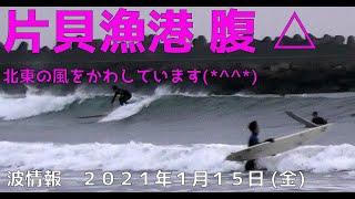 波情報　千葉北　片貝漁港　１月１５日　風をかわしています(*^^*)