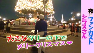 夜のファンカスト シラスさん「大きなツリーの下でメリークリスマス✨」(2019.11)【HaNa】