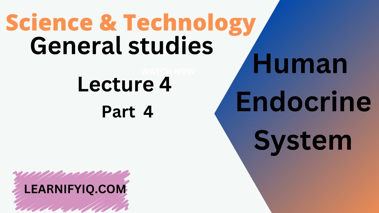 Human Endocrine System Lecture 4 Science Technology Lecture 12