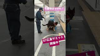 それ私の荷物…！！サミット開催中の広島の駅で警察犬が