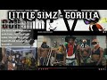 Little Simz - Gorilla | PUTTING THE BROS ON UK MUSIC