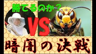 オオスズメバチと戦う！　Morimoriプロジェクト　南山城村「村テレ。」