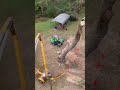 Tree Rigging