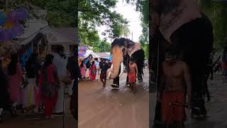 Gajarajan Kodunthirapully Agraharam #shorts #subscribe