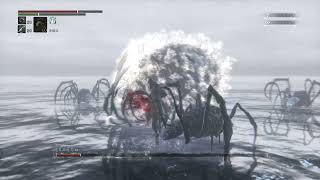 血源詛咒 三周目 千景屌砍白癡蜘蛛羅姆 無傷（No gun,No hit）Bloodborne™ The Old Hunters Edition