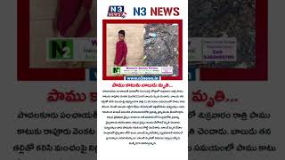 పాము కాటుకు బాలుడు మృతి #n3news