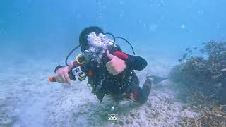 🥽🤿DIVING အကြောင်းလေး ... PART - 1️⃣