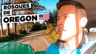 👉 PRIMERAS IMPRESIONES DE OREGON ¡UN NUEVO ESTADO RUMBO A Alaska! | National Forest, USA 🇺🇸