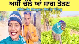 ਅਸੀਂ ਚੱਲੇ ਆਂ ਸਾਗ ਤੋੜਣ 😀 | Shinda Gagan Vlog | Daily Life Vlog | Shinda Adiwal