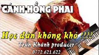 Cánh Hồng Phai | DEMO SAMPLE TKP MỚI NHẤT - HƯỚNG DẪN HỌC ĐÀN  | TRẦN KHÁNH PRO