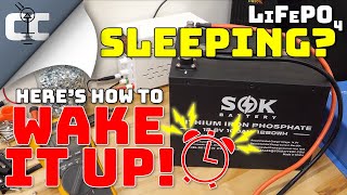 How to Wake a Sleeping LiFePO4 Battery 🔋 Charge a Fully Depleted Lithium Iron Phosphate Battery