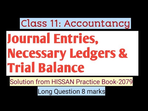 Journal Entries, Ledger Accounts & Trial Balance||Class 11||Long ...