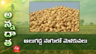 ఆలుగడ్డ సాగులో మెళకువలు | Tips for Potato cultivation | ETV Telugu