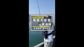 在养马岛出海钓鱼，看看最后钓到的鱼能换多少东西？竿子在@老哔的路亚仓库 想要的可以去留个言#原来钓鱼才是抖音运动顶流 #润克风狸#润克路亚#runcl润克路亚