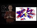 Lecture 09, concept 21: Conformational transitions - induced & selected fit