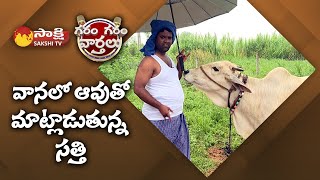 Garam Sathi Hilarious satirical and Hilarious Comedy with Cow | Garam Garam Varthalu | Sakshi TV