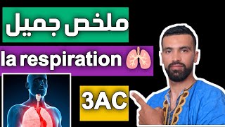 la respiration chez l'homme 🔺 Résumé du cours 🔺 svt 3ac