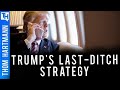 Trump's Sick Plan Means Fueling Racial Hatred to Beat Kamala Harris