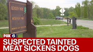 Man suspects dogs poisoned by 'tainted meat' at Bender Park | FOX6 News Milwaukee