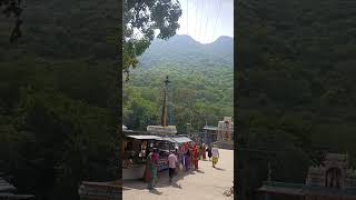 திருமூர்த்தி மலை🐒⛰️🏞️#அமன லிங்கேஷ்வரர் கோவில் #thirumoorthy மலை