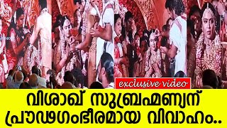 ബ്രാഹ്മണ പാരമ്പര്യത്തില്‍ താലികെട്ട്..!! l Visakh Wedding l Advaita Srikant