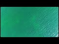 🌊 hypnotic turquoise waves aerial ocean view 1 hour of deep relaxation