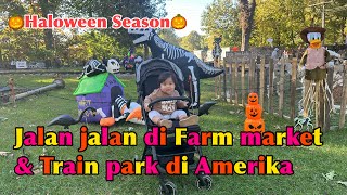 Jalan jalan ke Farm Market dan Train Park di Amerika