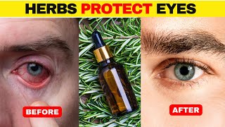 BEST 7 HERBS That Protect EYES and Repair VISION | Luxgevity