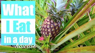 What I Eat in a Day [Plant Based on the Big Island of Hawaii]