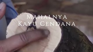 Edukasi Agrotek ~ Mahalnya Kayu Cendana | Simak Ulasan Kami