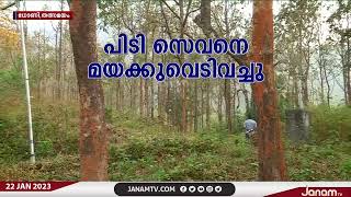 പാലക്കാട് ധോണിയിൽ ഭീതി വിതച്ച PT7നെ മയക്ക് വെടി വച്ചു | JANAM TV