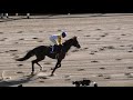 2020 jra芝・ダートg1勝利 第37回 フェブラリーステークスgⅠ 本馬場入場 現地映像