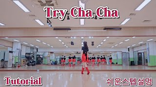 Try Cha Cha/쉬운스텝설명/High Beginner Linedance