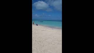 Cozumel - Passion Island excursion by Carnival Cruises