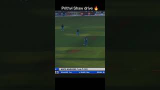 Prithvi shaw batting🔥#shorts #cricket #trending