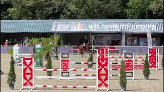 Sportsman 111 ST: 5yo Belgian Championships Gesves Aug 2023