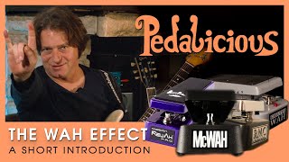 A Short Introduction to the Wah Effect