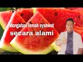 6 Manfaat buah semangka untuk kesehatan tubuh kita