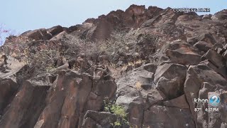 DLNR investigating after Maui petroglyphs vandalized by 'several hundred' paintballs