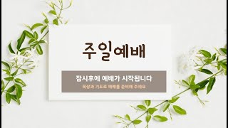 뉴욕영락교회 주일 대 예배 [2023.2.26]