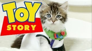 Disney Pixar's Toy Story (Cute Kitten Version)