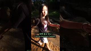 태백산 하늘전망대 솔직 후기 #shorts #여행  #채니의놀고먹자