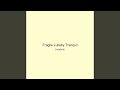 Fragile Lullaby Tranquil